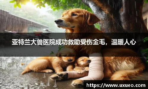 亚特兰大兽医院成功救助受伤金毛，温暖人心