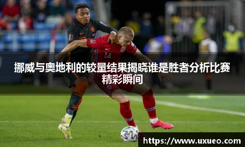 熊猫体育官网入口