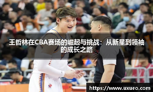 王哲林在CBA赛场的崛起与挑战：从新星到领袖的成长之路